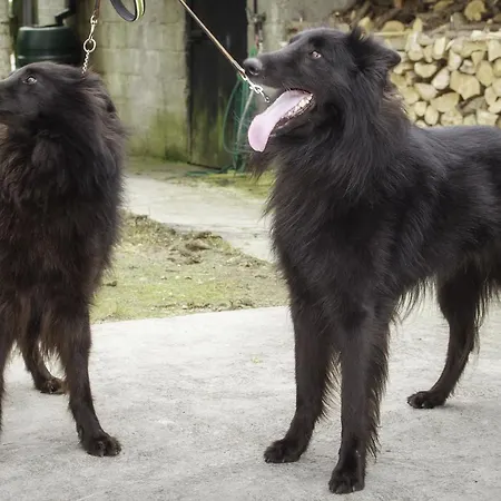 Walkers Nest לינה וארוחת בוקר