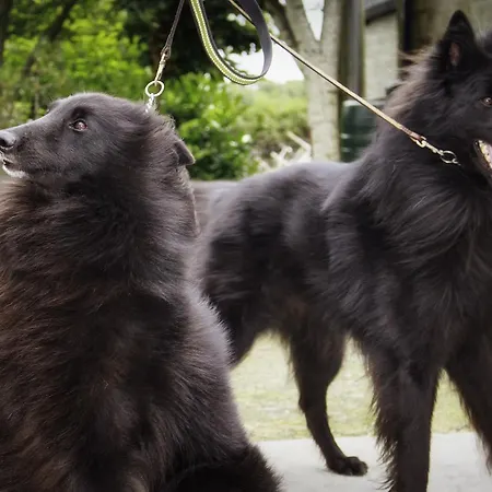 לינה וארוחת בוקר Walkers Nest 3*