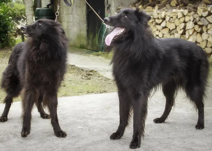 Walkers Nest Bed & Breakfast